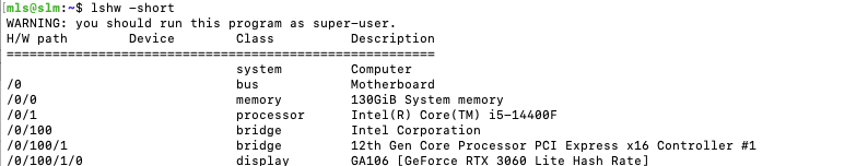 Output from lshw command